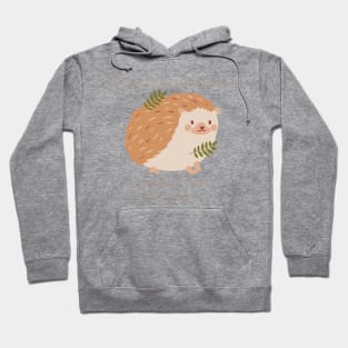 Hedgehog If There Were More Edges I Wouldn't Have to Hog Them Hoodie